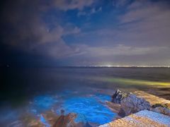 -Rock Bar Bali(Bali)