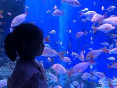 -成都浩海立方海洋公园