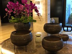 -广州从化都喜泰丽度假温泉酒店