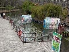 -合肥滨湖国家森林公园