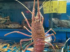 -粤盛海鲜平价店(洛溪食街店)