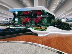 -广州白云机场雅高铂尔曼大酒店