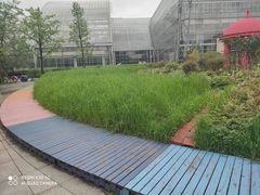 -南山植物园