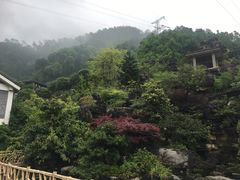 -老幺泉水鸡