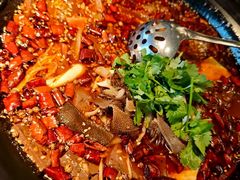 -雀蓝川菜(奥体广场店)