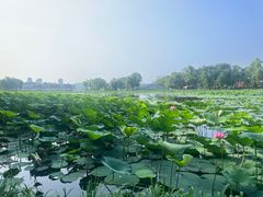 -长春市南湖公园