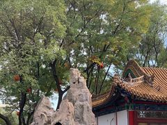 -鼓楼(兴庆区)