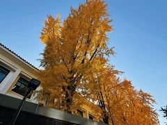 -琵琶语评弹茶馆(苏州平江路店)