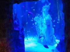 -沈阳海洋探索中心