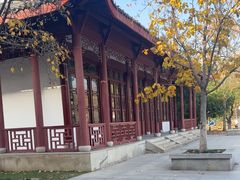-堤角公园