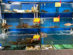 -蚝专家(北滘店)
