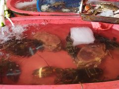 -芦潮港集贸市场