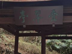 -铁山坪森林公园