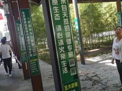 -白洋淀景区