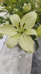 -HEYAN荷妍专业脱毛连锁机构