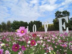 -广东花都香草世界旅游度假区