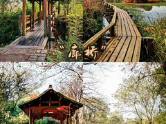 -西溪国家湿地公园