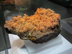 -湖南省地质博物馆