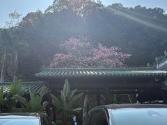 -广东温泉宾馆