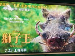 -狮子王庆典