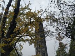 -上海佘山国家森林公园天马山园