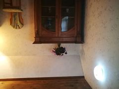 -金山农民画村-枫泾波兰倒置屋