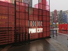 -Dior迪奥(上海世茂广场店)
