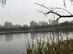 -武汉园博园(武汉自然博物馆)