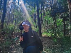 -青龙山国家森林公园