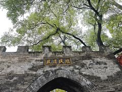 -大槐树寻根祭祖园