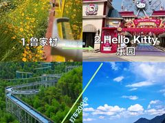 -阿露佳·舌尖上的安吉菜