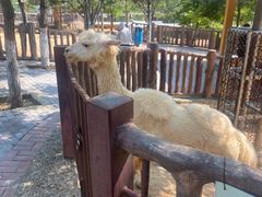 -石家庄市动物园