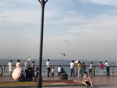 -东港音乐喷泉广场