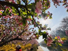 -海棠花溪(元大都城垣遗址公园)
