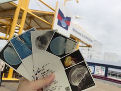 -大阪海游馆