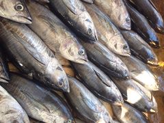 尼甘布海鲜市场-尼甘布海鲜市场