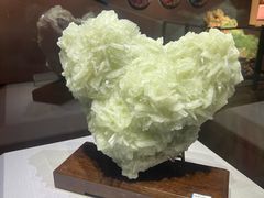 -湖南省地质博物馆