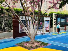 -金孔雀德宏傣味餐馆(魏公村店)