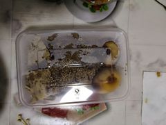 豆腐皮-老王豆皮