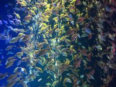 -成都浩海立方海洋公园