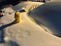 -青海名吃尕张娃非遗烤肉(海湖总店)