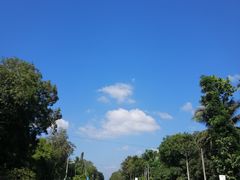 -米内日亚国家公园