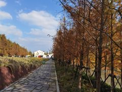 -柳鹭田园区