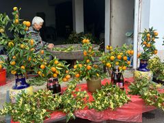 -苏州市吴中区光福窑上花果蜜饯厂