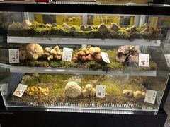 -滇野云南野生菌餐厅(陕西南路店)