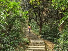 -黄埔油麻山森林公园