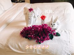 -三亚亚龙湾雅高铂尔曼别墅度假酒店