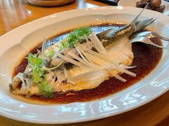 钱湖四宝-朋鱼-宁波柏悦酒店·钱湖渔港