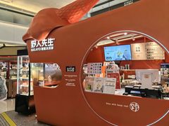 -野人先生现做冰淇淋(北京王府井东方新天地店)