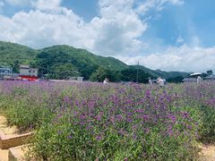 -玫瑰海岸文化旅游度假区